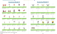 Nursing Training Materials